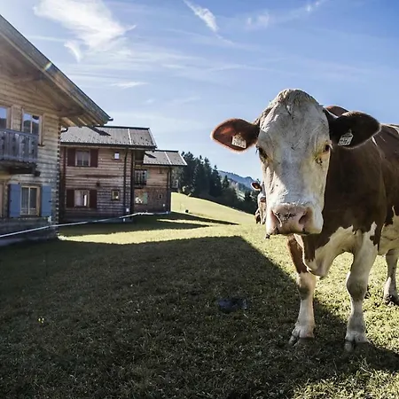 Holiday Farm Oberreit Bruck Osb03115 Fye بيت للعطل *